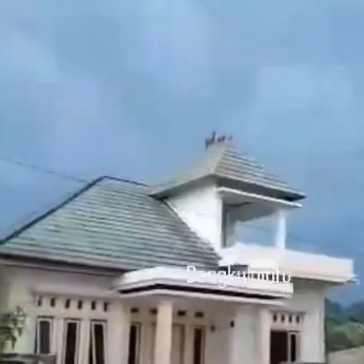 Heboh, 3 Ekor Kambing Terpantau di Atap Rumah Mewah
