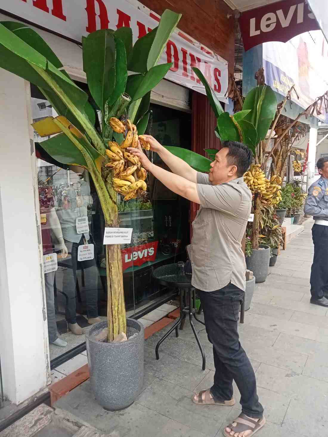 Harmoni di Jantung Kota: Menyibak Filosofi Sedekah Pisang di Royal Baroe